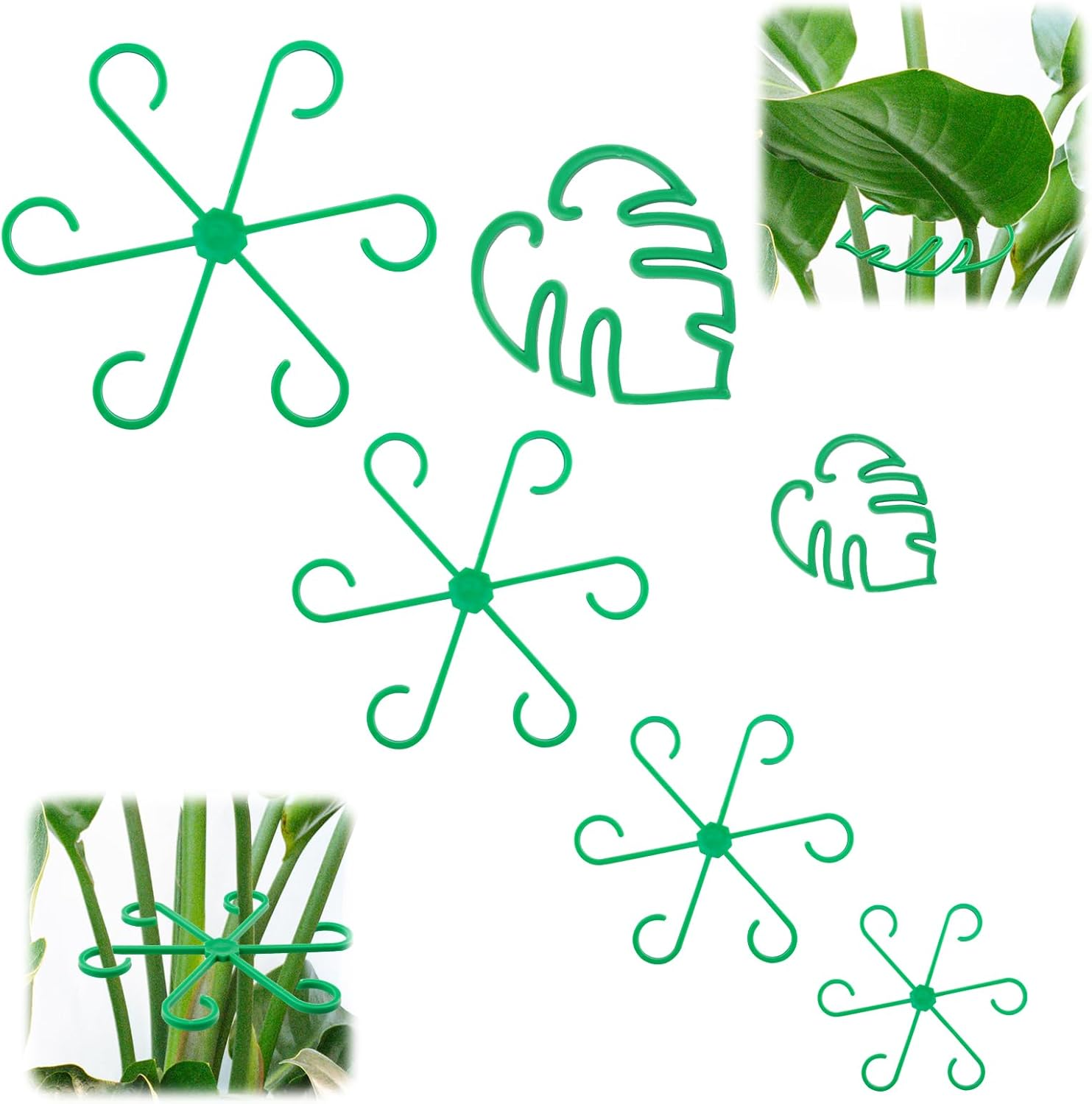 6Pcs Plant Stem Supports, Reusable Monstera Plant Stakes Sturdy Leaf Buddy Support Green Plants Propagation Holder Climbing Houseplant Trellis for Indoor Plants Healthy Growth Rack (Black)