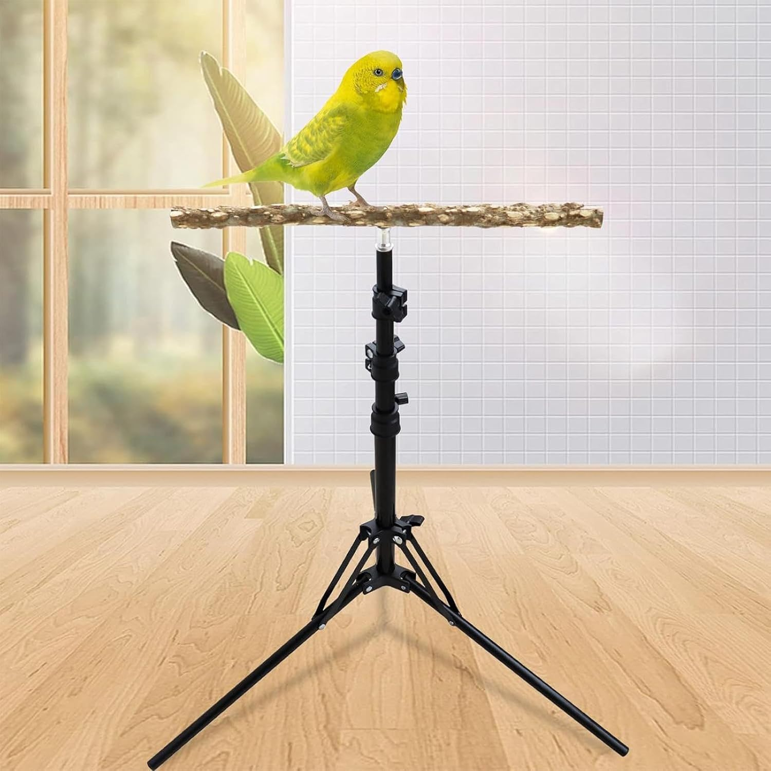 Adjustable Bird Perch Stand - Height-Extendable Parrot Training Stand | Natural Wood Bird Rest, Indoor Outdoor Grooming Perch, Sturdy Wooden Play Gym, Multi- Aviary, Freestanding Perch
