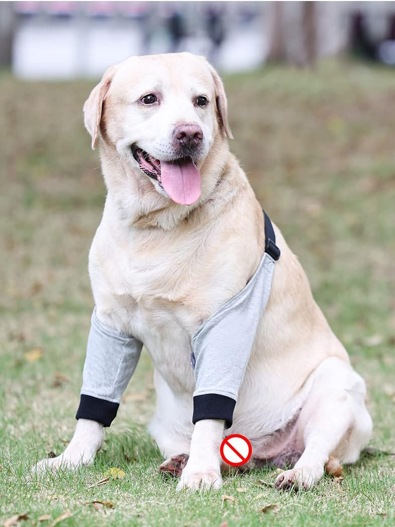 Generic Dog Elbow Protector, Small, Grey, 1 Pack - Elbow Sleeve for Dogs, Prevents Licking Wounds, Ideal for Recovery & Prevention image number 1