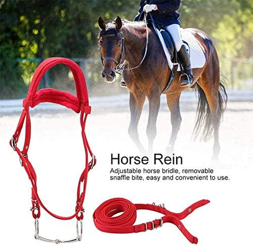 Tooloflife Equestrian Horses Bridle with Rein Red Adjustable Horse Halter Harness Horse Headstalls Horse Bit with Soft Cushion image number 5