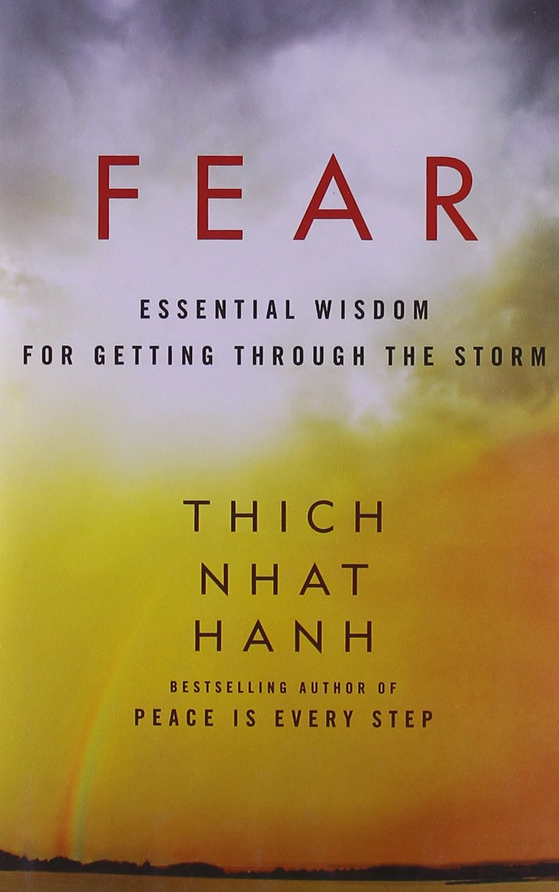 Fear: Essential Wisdom for Getting through the Storm image number 1
