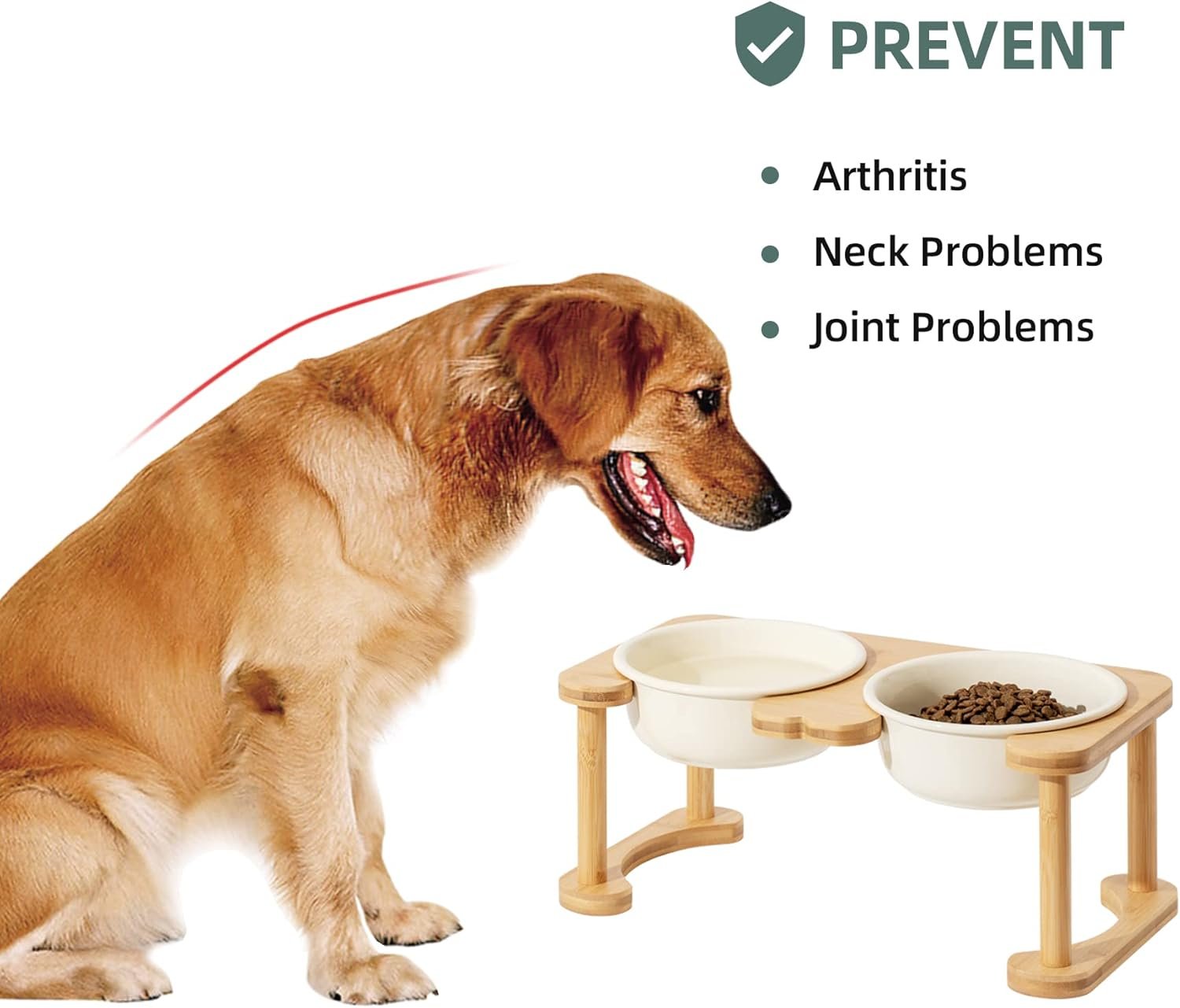 Havniva Ceramics Raised Dog Bowl with Non-Slip Stand Elevated Dog Bowl for Medium Dog Food and Water Bowl Dog Dish Pet Feeding Bowl (Double 6.9" Bowl, Cream White) image number 4