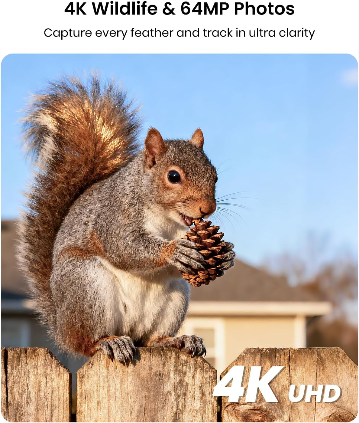 Misstech 4K UHD Solar Trail Camera &ndash; 0.1S Trigger for Wildlife Monitoring & Game, 64MP Photos, 4K Video, Map Tag, App Control, IP66 Waterproof, with 32GB SD Card image number 6