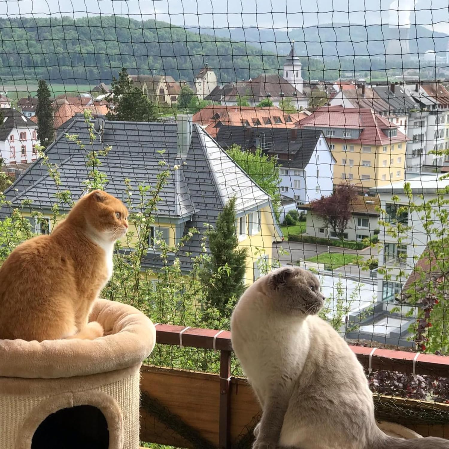 JUMXSRLE Cat Netting Balcony, Wire-Reinforced Cat Net, Bite and Tear-Resistant, UV and Weather-Resistant, Balcony Cat Anti-Fall Netting for Pets, Cat Protection Net for Balcony Windows Patio, 10X13 Ft