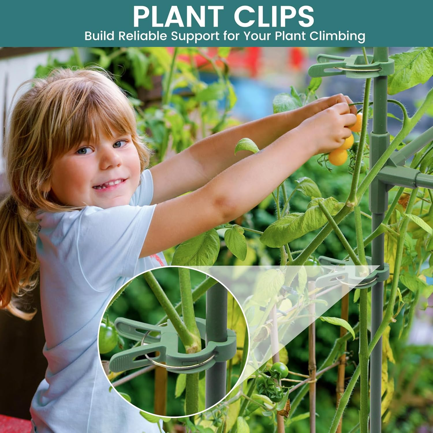 MYMULIKE Tomato Cages, 3 Packs Square Tomato Plant Support Stakes, 41.5 * 15 * 15In Heavy Duty Plant Support Trellis for Garden Climbing Vegetables Flowers Fruits with 10Pcs Clips image number 3