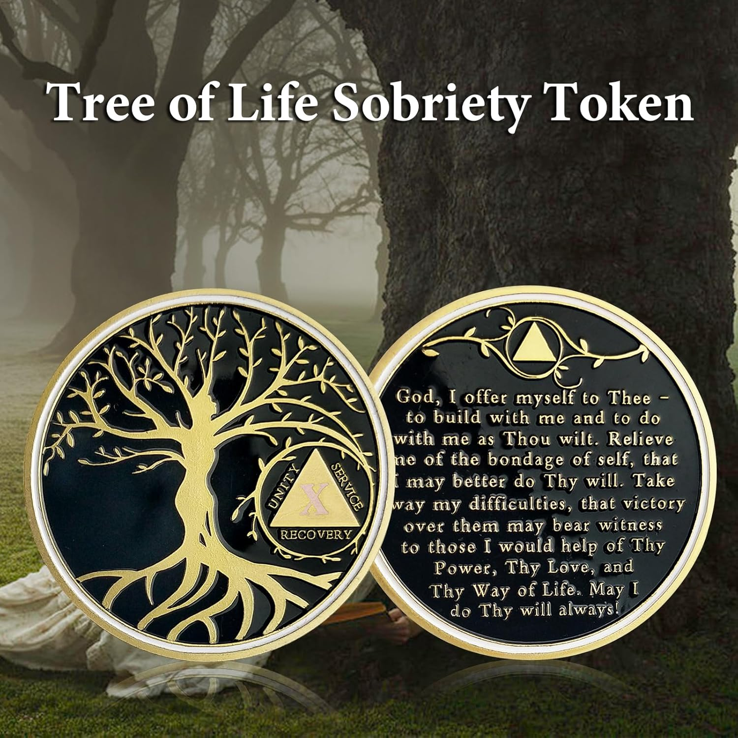 10 Year Sobriety Coin, Tree of Life AA Chips and Medallions Sobriety Recovery Chip Anniversary Sober Token Alcoholics Anonymous Recovery Gifts for Women Men image number 5