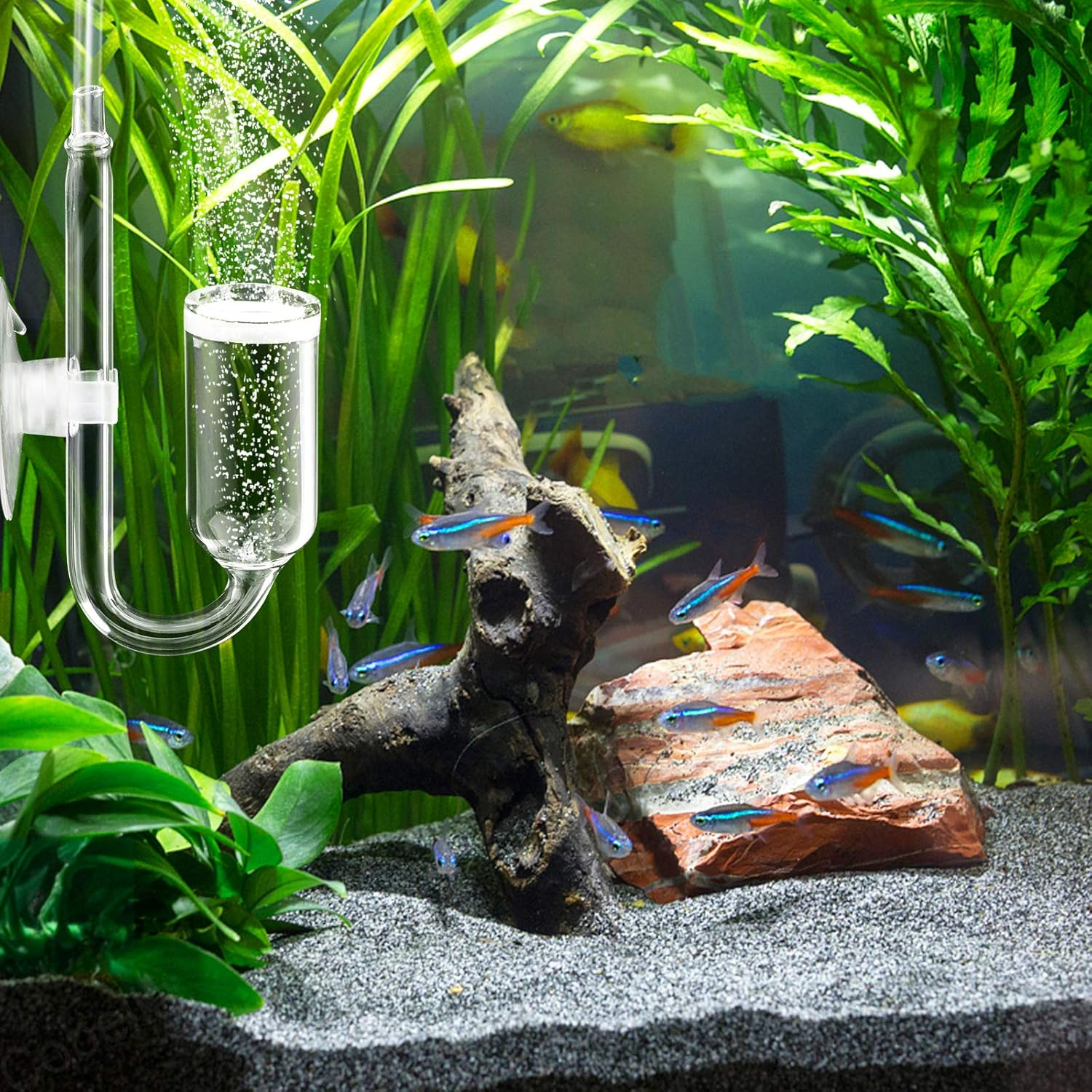 Cobella CO2 Diffuser U Shape Fish Tank Aquarium Pollen Glass CO2 Diffuser for Aquarium Planted Tank image number 5