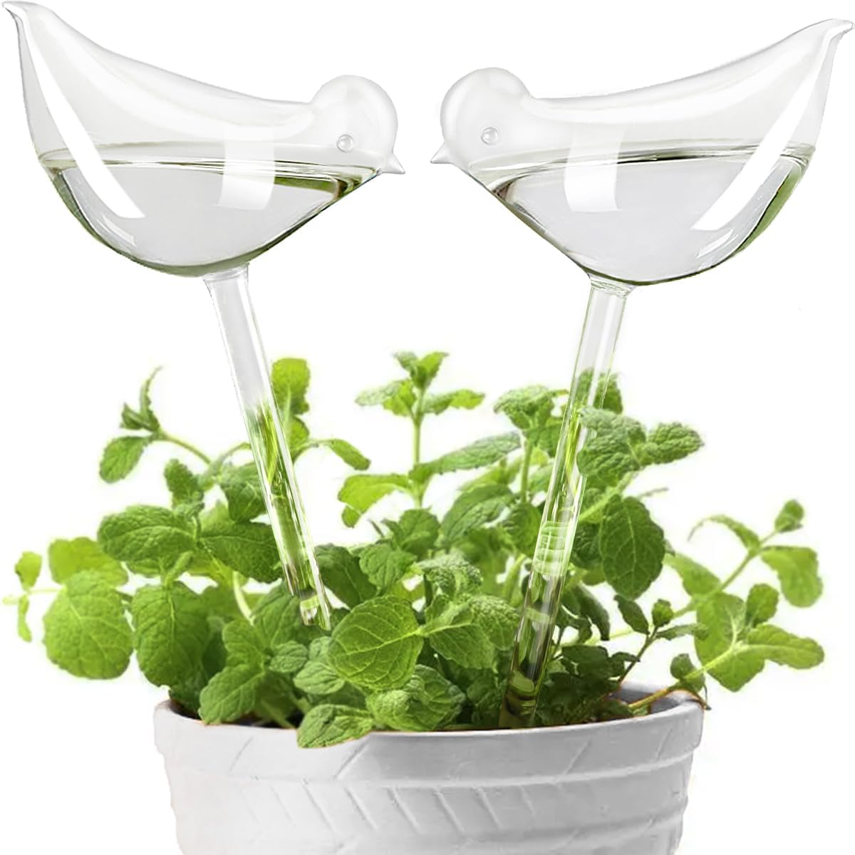 Kikihome Self Watering Globes for Plants, Clear Glass Shape Design Plant Waterer Bulbs, Automatic Irrigation Device for Indoor & Outdoor Plants, 2 Mushroom