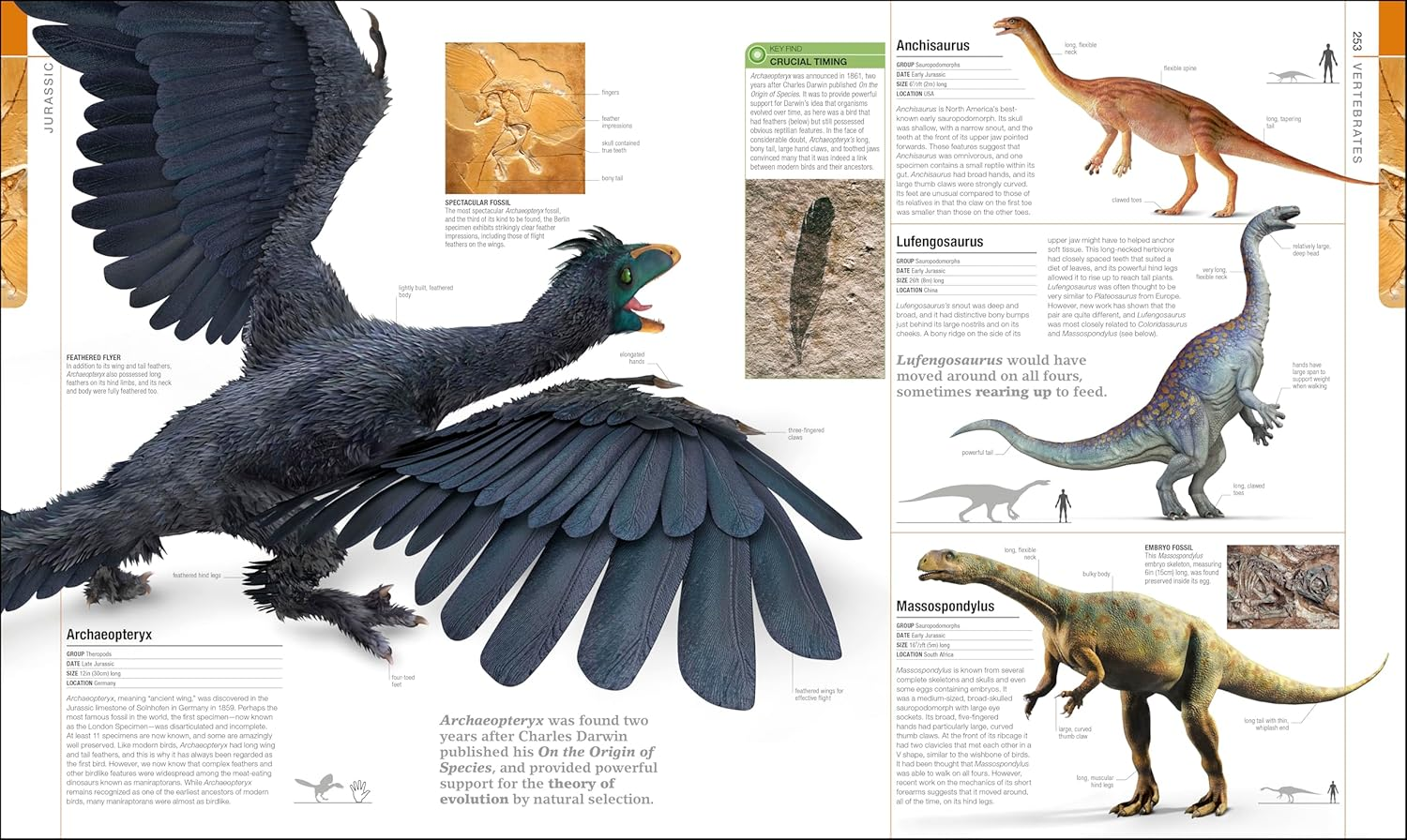 Dinosaurs and Prehistoric Life: the Definitive Visual Guide to Prehistoric Animals