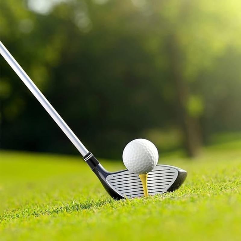 12Pcs Golf Iron Ferrules with Double Silver Ring,Golf Iron Ferrules with Double Silver Ring,Golf Ferrules Golf Club Ferrules with Double Silver Ring,Golf Club Head Ferrules with Double Silver Rings image number 1