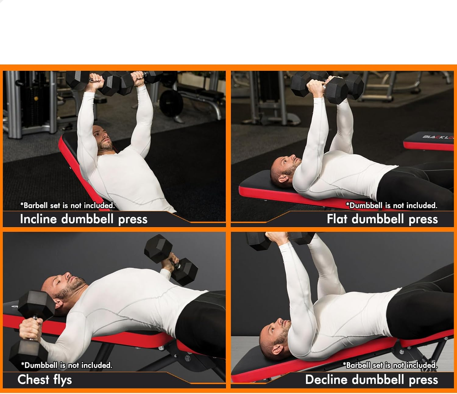 BLACK LORD FID Bench Weight Bench Press Foldable Full Body Training Equipment for Home Gym Workout Fitness image number 4