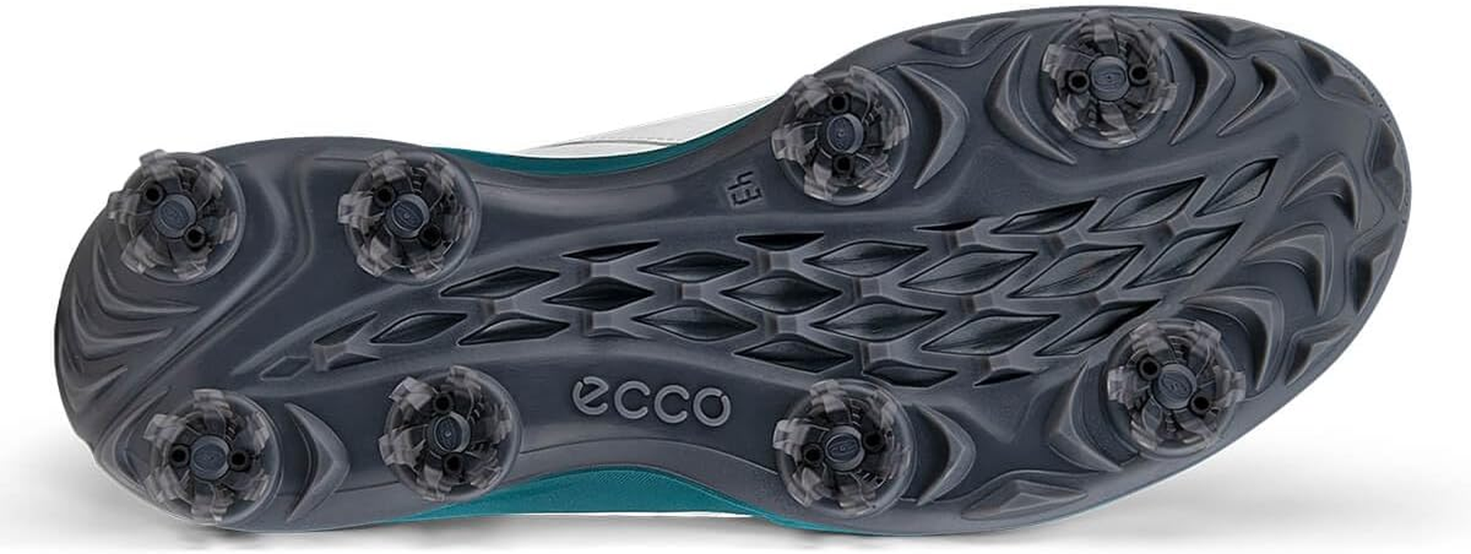 ECCO ECCO image number 3