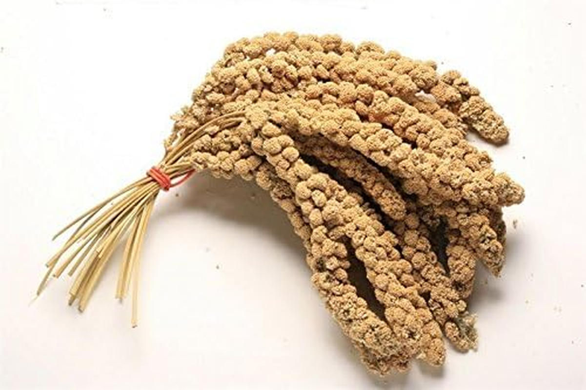 Pet Ting 1Kg Millet Spray for Birds and Small Animals - Budgies, Canaries, Cocktaiel, Parrots ETC