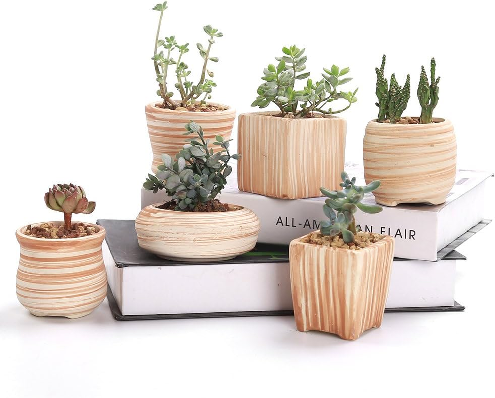 SUN-E 6In Set 3 Inch Ceramic Wooden Pattern Succulent Plant Pot/Cactus Plant Pot Flower Pot Container Planter Perfect Gife Idea image number 6