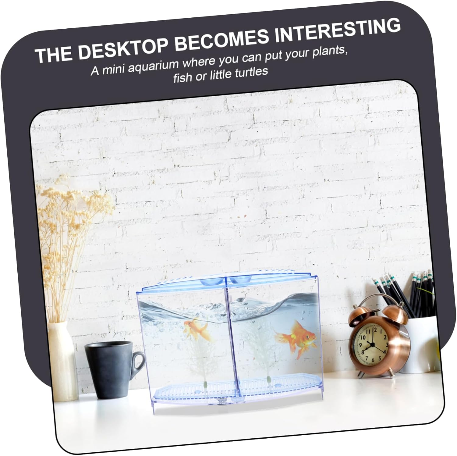 DECOMELODY Mini Transparent Fish Tank Small Plastic Aquarium Breeding Box for Fish and Hydroponic Plants Easy to Clean and Compact Tabletop Design for Desktop Aquatic Pets and DIY Micro Lands image number 4
