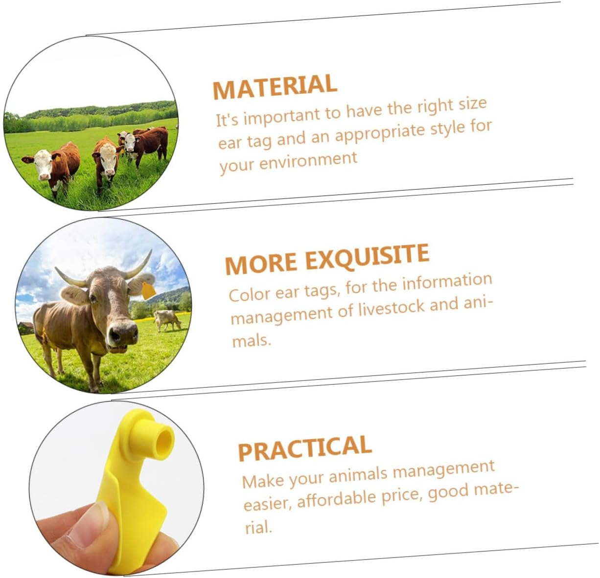 Milisten 100Pcs Blank Livestock Ear Tags for Cattle Sheep Pigs Flexible Fade Resistant Animal Identification Tags Suitable for Farm Use image number 1