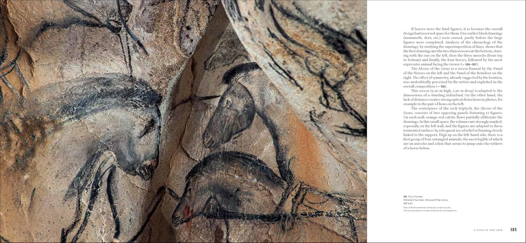 Chauvet Cave: Humanity'S First Great Masterpiece image number 2