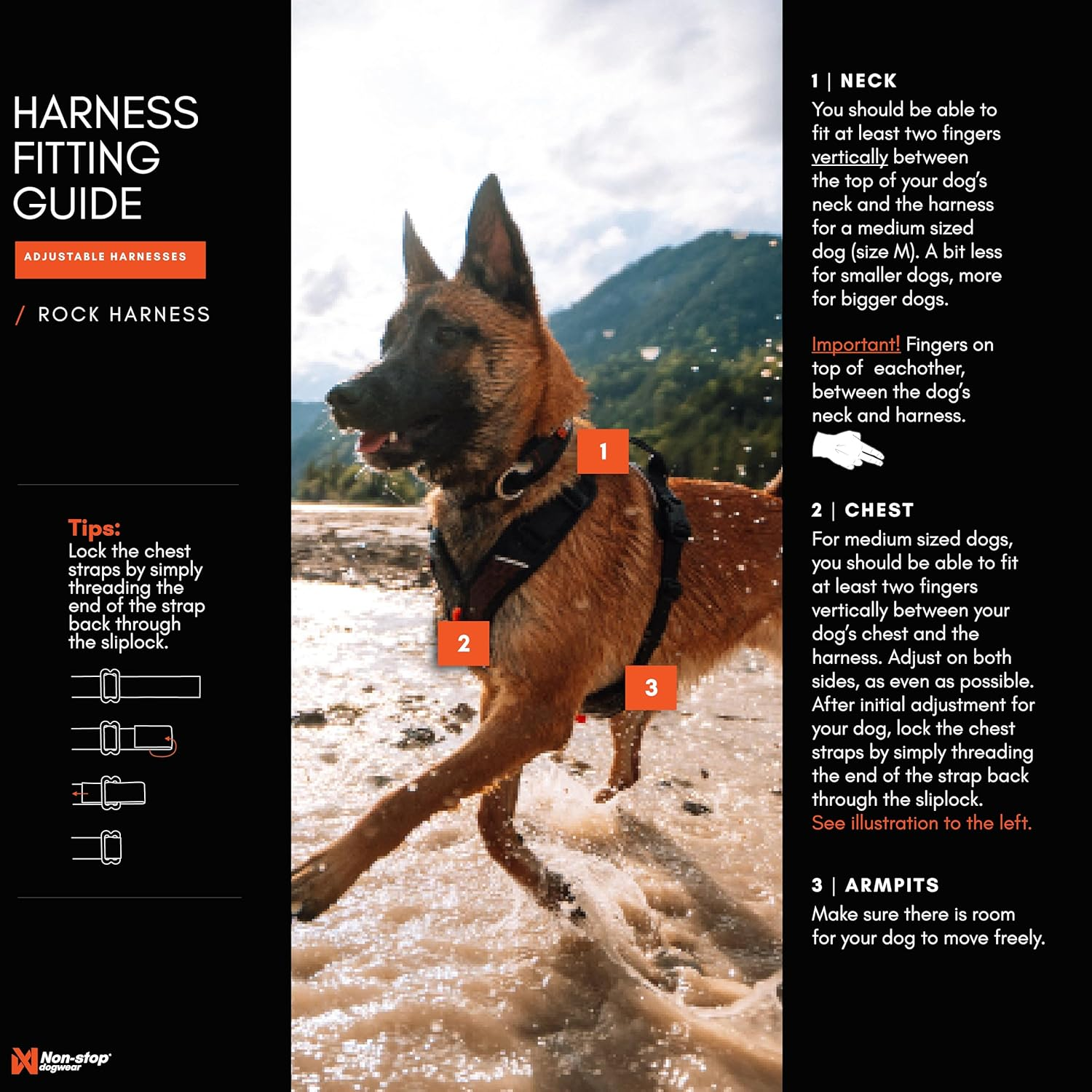 Non-Stop Dogwear Rock Harness Adjustable Dog Harness for Small Dogs with 3 Leash Clips, Handle and Reflective, Black/Orange, Size S image number 5