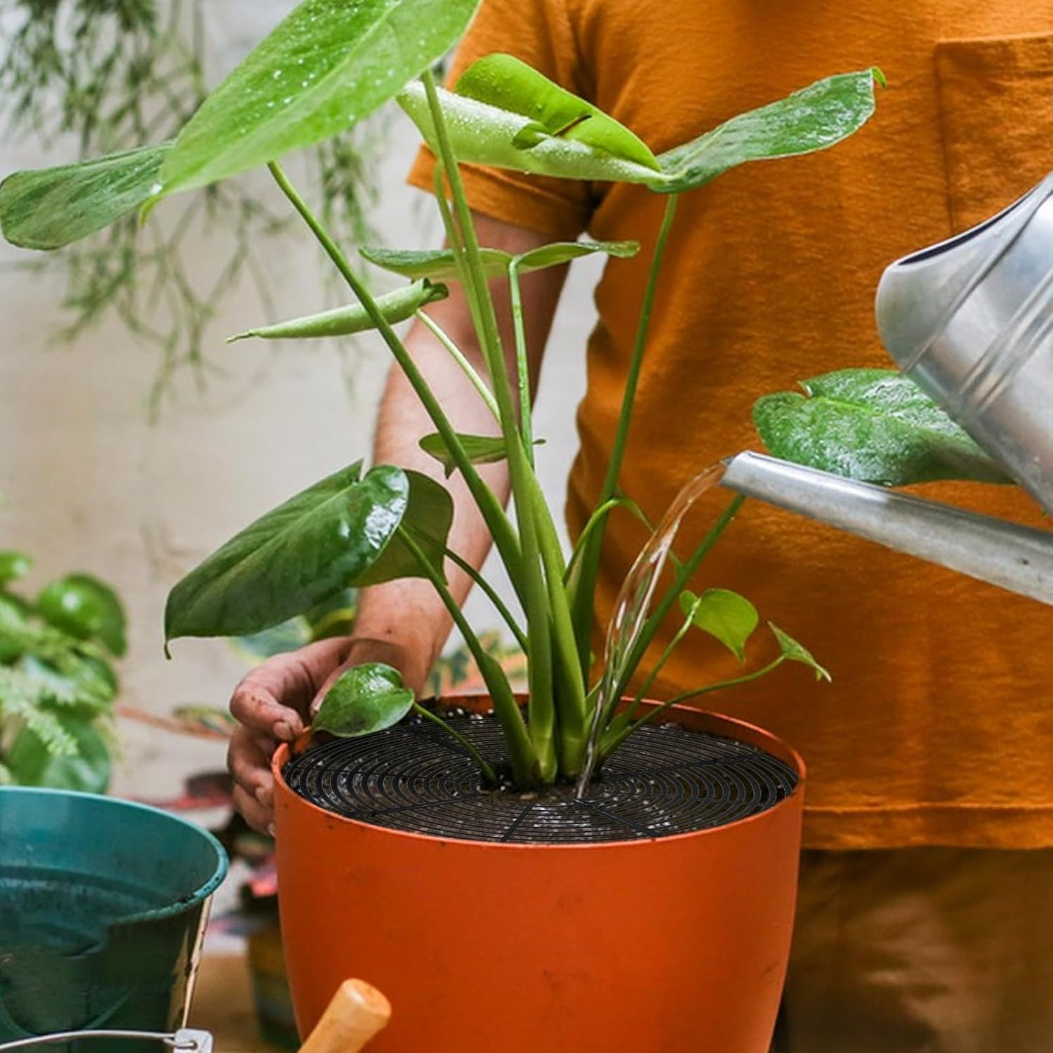 Chris.W 2 Pcs Plant Pot Grid with 16 Stakes, 11.8 Inch Plant Pot Soil Covers Protectors, Plant Pot Cover Plant Protector from Animal, Cuttable Soil Protector for Plants (Black) - Black image number 2