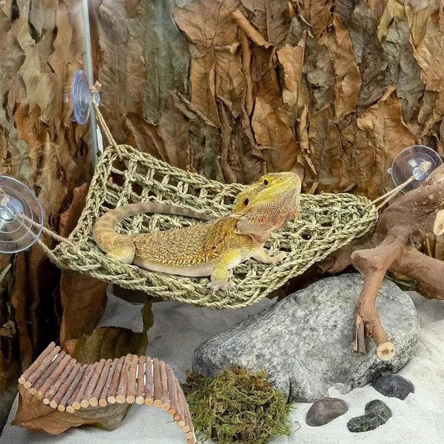 Reptile Tank Accessories Set - Climbing Hammock, Wood Hideout for Bearded Dragon, Leopard Gecko, Hermit Crab & Snake Habitat Decor image number 6