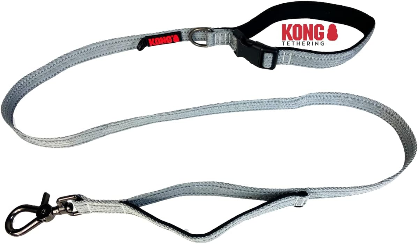 KONG Dog Lead in 1.5 M Length, for Medium Dogs up to 30 Kg, Size M, Traffic Safe Dog in Pink, Reflective Lead with 2 Padded Hand Loops and Robust Snap Hook