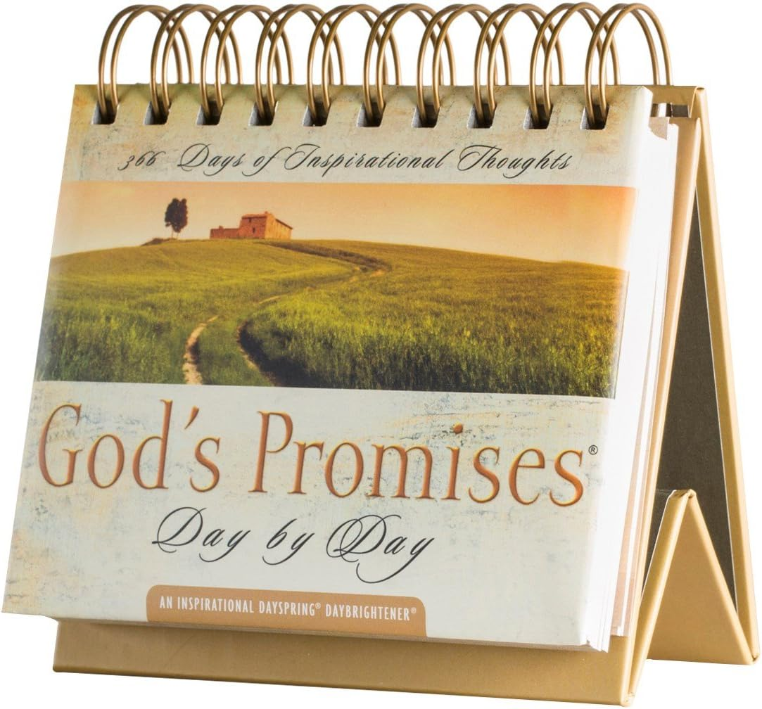 Dayspring God'S Promises Day by Day Daybrightener Perpetual Calendar image number 3