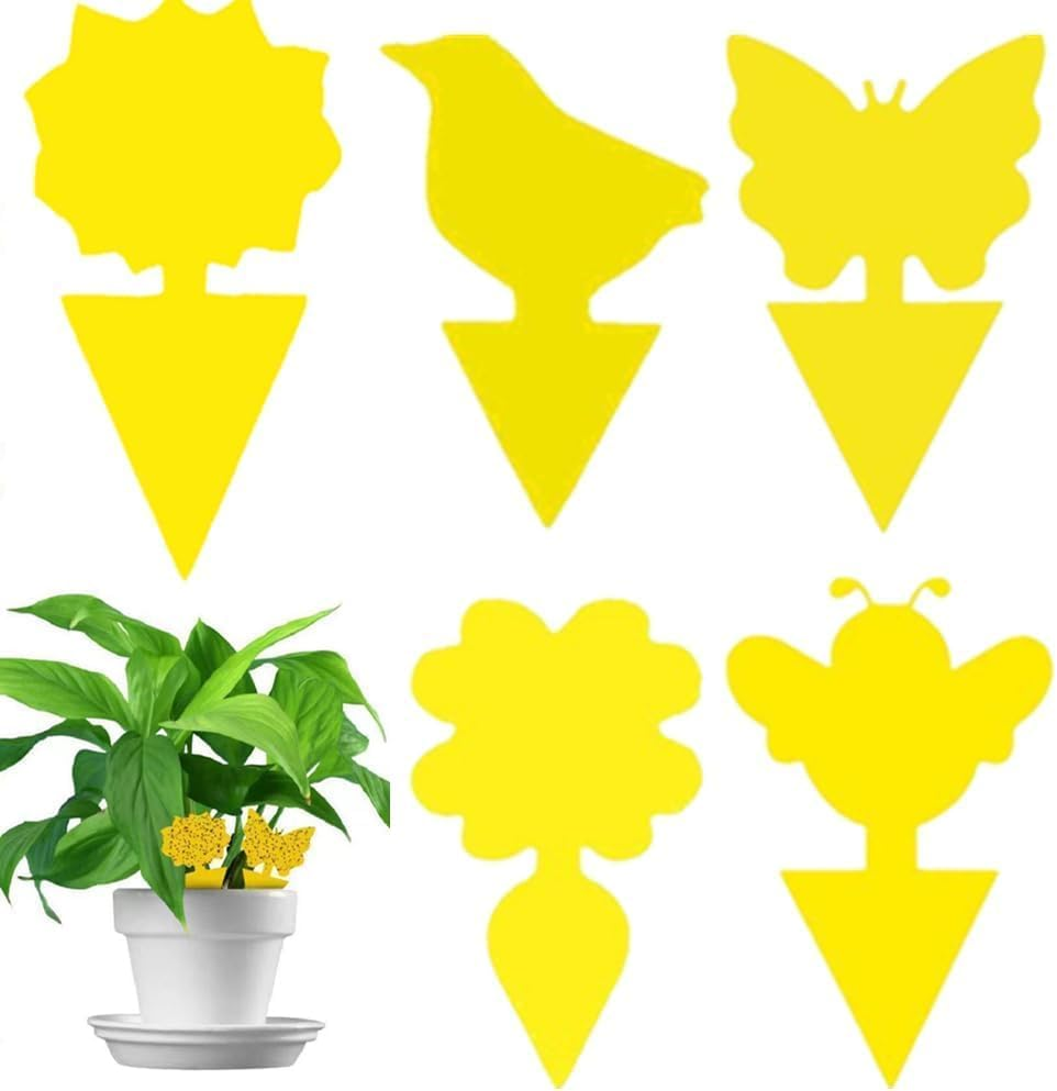 Sticky Fly Traps,Plant Fly Stickers,Caasfooy 100Pcs Flying Insects Traps,Sticky Bug Traps Fungus Traps for Plants Kitchen Indoor and Outdoor,Mosquitos, Dual-Sided Yellow Insect Catcher image number 4
