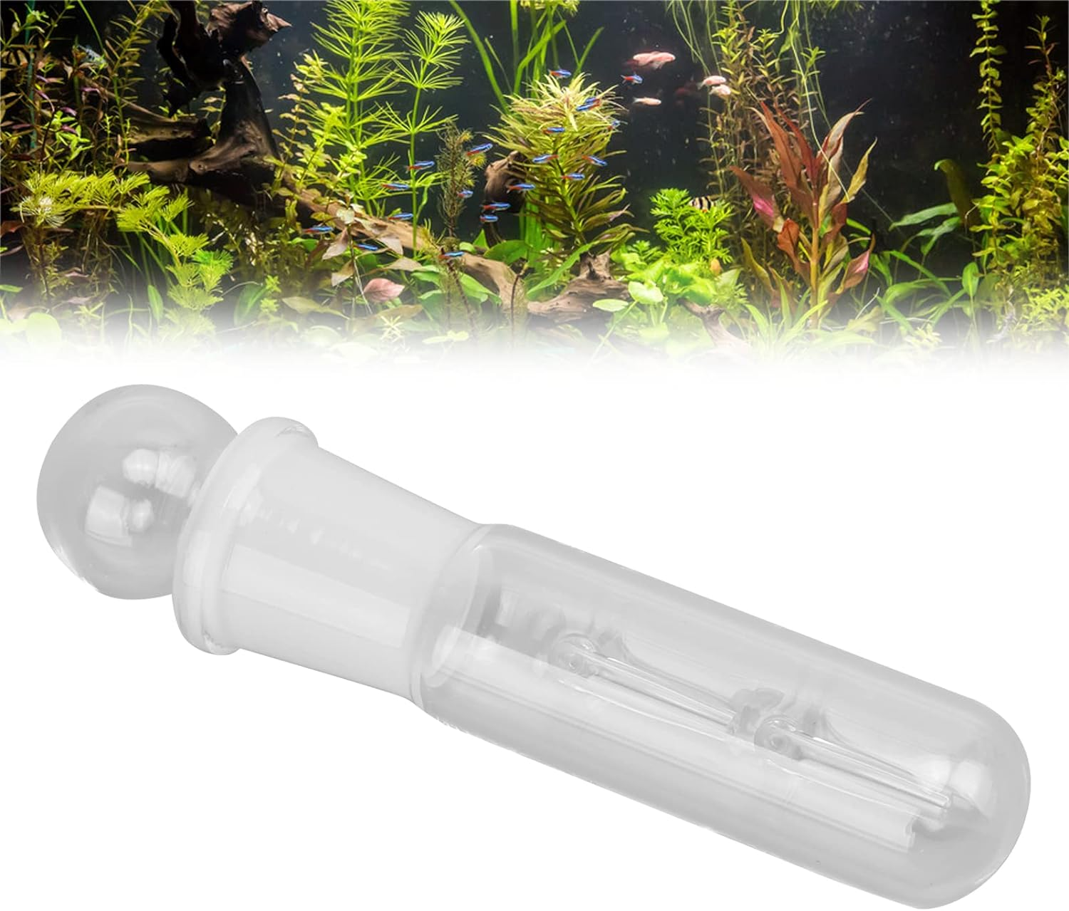 Planaria Trap, Clear Glass High Brightness Planar Leech Trap Tube Red Shrimp Crystal Cherry Shrimp Dwarf Shrimp
