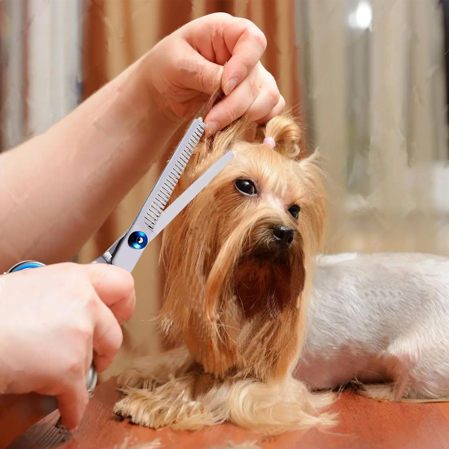 Dog Grooming Scissors, Jiasoval 4-In-1 Dog Grooming Set with round Safety Tip, Professional Grooming Scissors Set, Hair Cutting Scissors with Steel Comb and Leather Case for Dogs image number 1