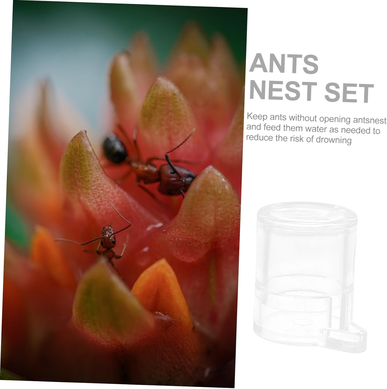 Ant Water Feeder Bowl Acrylic Small Size Formicarium Nest Drinking Tool for Ant Habitat Pet Supplies image number 3