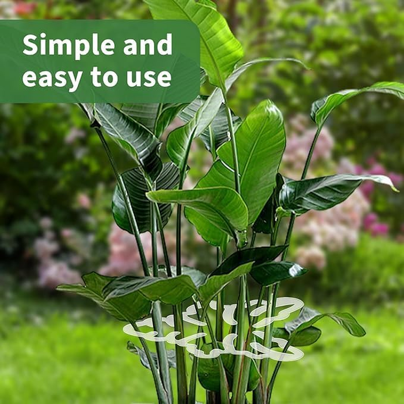 Monstera Grapple Clips | Turtle Shell Bamboo Plant Support Clamps | Aesthetic Leaf Clips for Monstera & Climbing Plants | Sturdy Plant Stake Rings to Keep Vines Tame and Growing Vertical (4PCS) image number 5