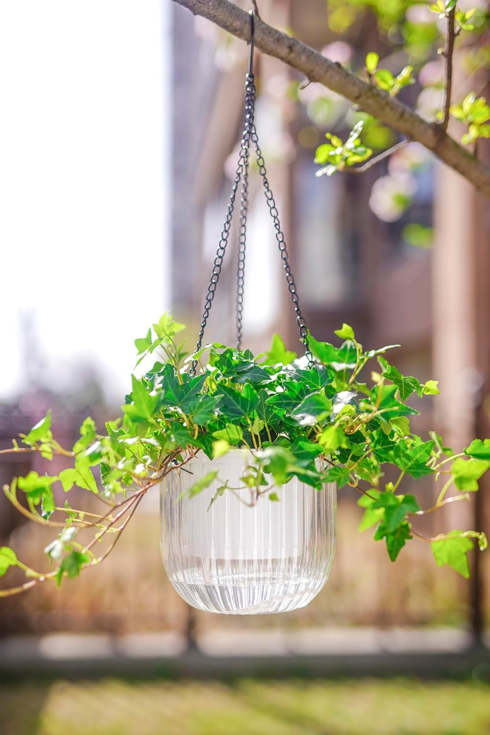 Melphoe 2 Pack Self Watering Hanging Planters Indoor Hanging Flower Pots, 6.5 Inch Outdoor Hanging Plant Pot Basket, Plant Hanger with 3Hooks Drainage Holes for Garden Home Emerald+White - Emerald+White image number 4