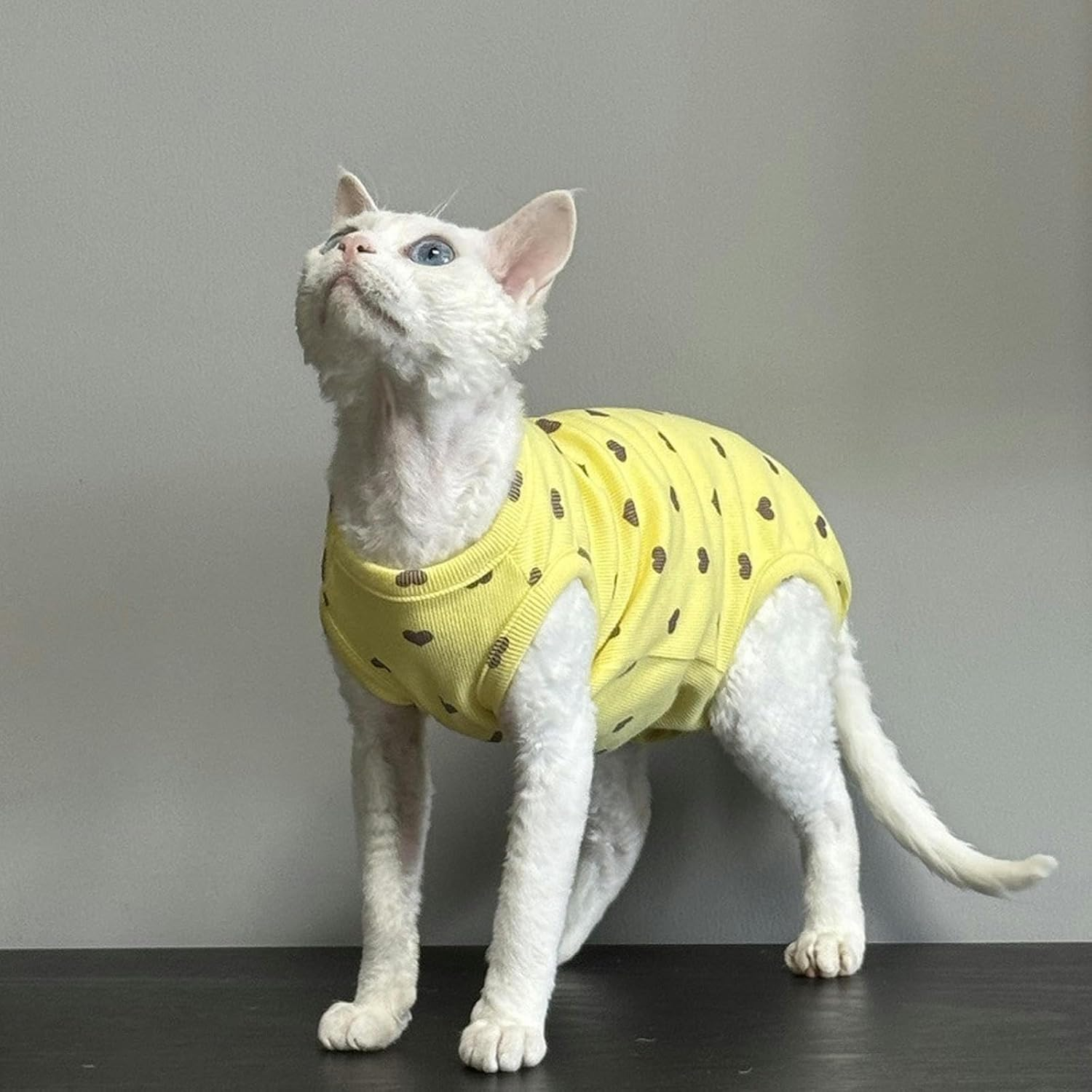 IUOUTG Sphynx Cat Clothes Hairless Cat Shirt Breathable Cotton Pet Clothes round Collar Kitten Pullover Vest Sleeveless Four Leg Cat Pajamas with Cute Heart Pattern for Cornish Rex Devon Rex image number 3