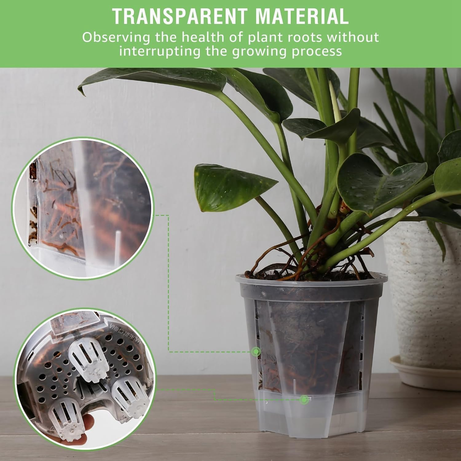 6 Inch Transparent Plastic Nursery Plant Pots Plastic Garden Pots 5 Pack with Deep Reservior