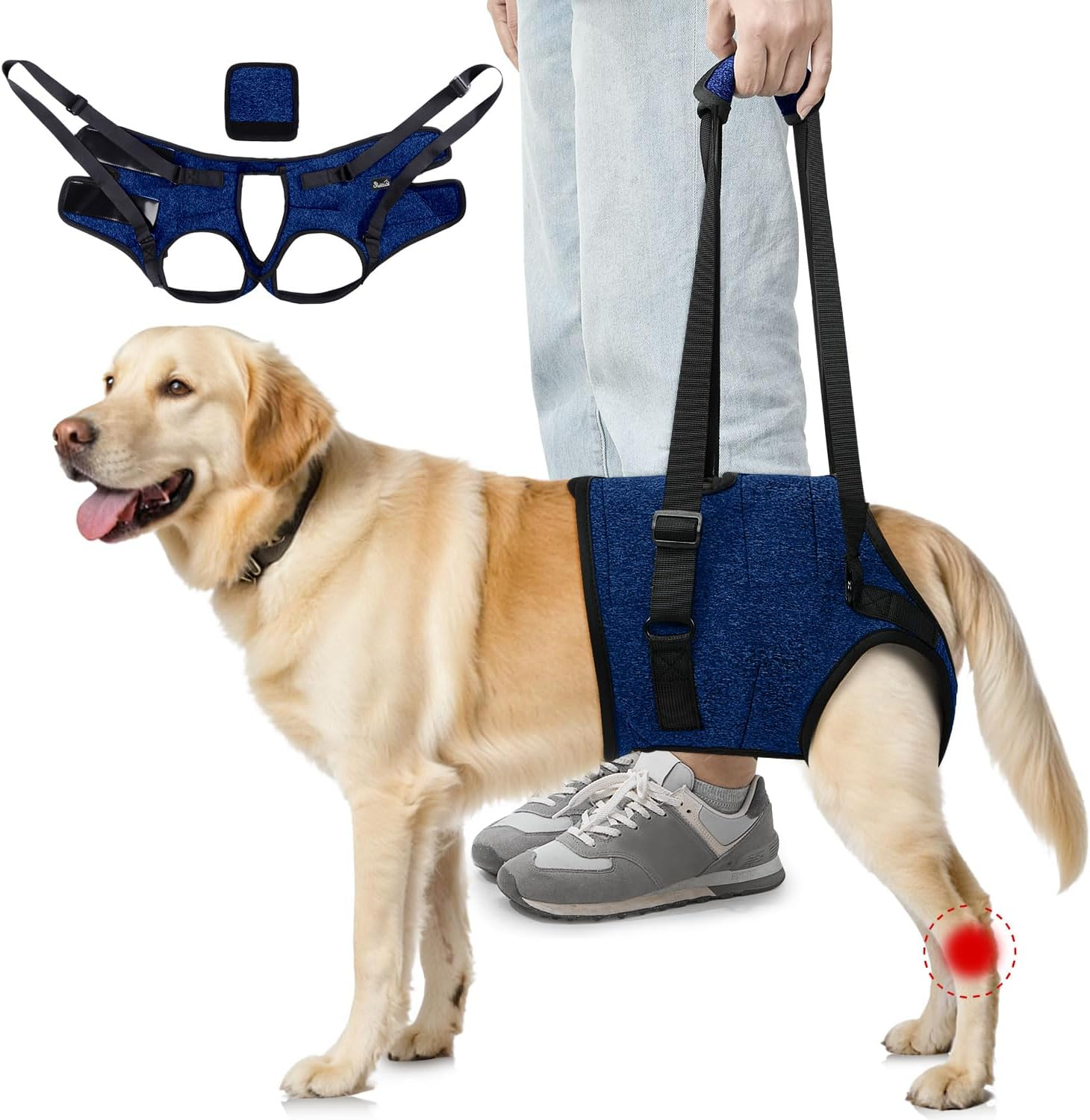 AUTOWT Dog Sling Harness, Hind Leg Support Sling for Elderly Injured Arthritic Disabled Dogs Provides Rehabilitation Aid for Weak Back Legs, Comfy Pet Auxiliary Harness for Walking Climbing