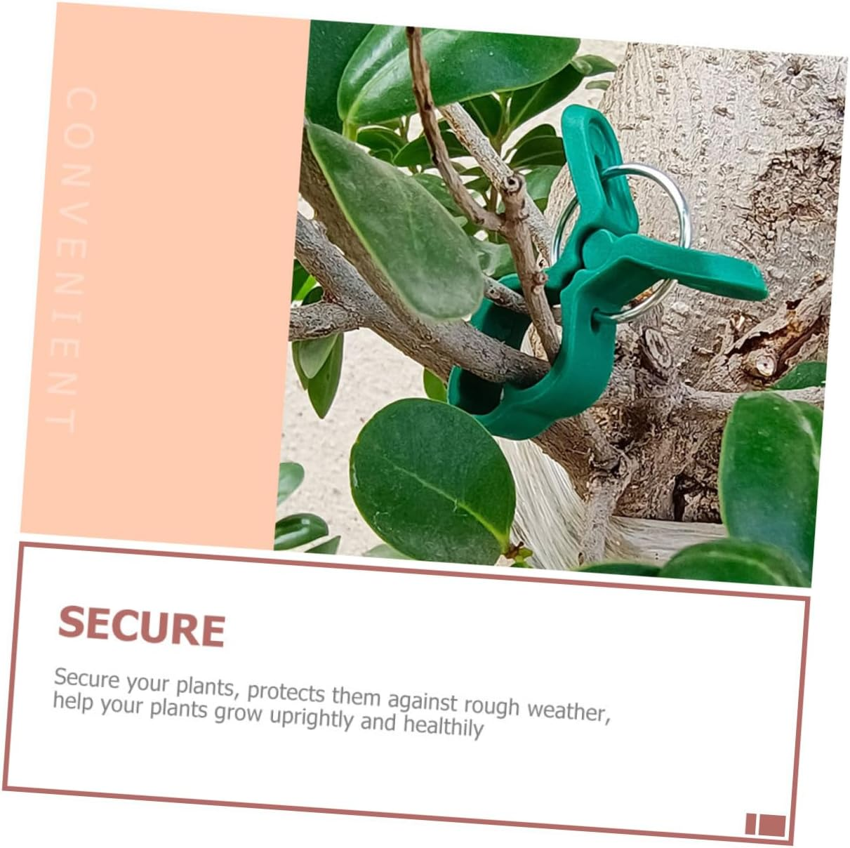 BCOATH 60Pcs Garden Plant Clamps and Tomato Support Clips for Climbing Plants Large Green Orchid Vine Clips Set Sturdy Fixing Clamps for Outdoor Gardening and Vegetable Vine Support image number 2