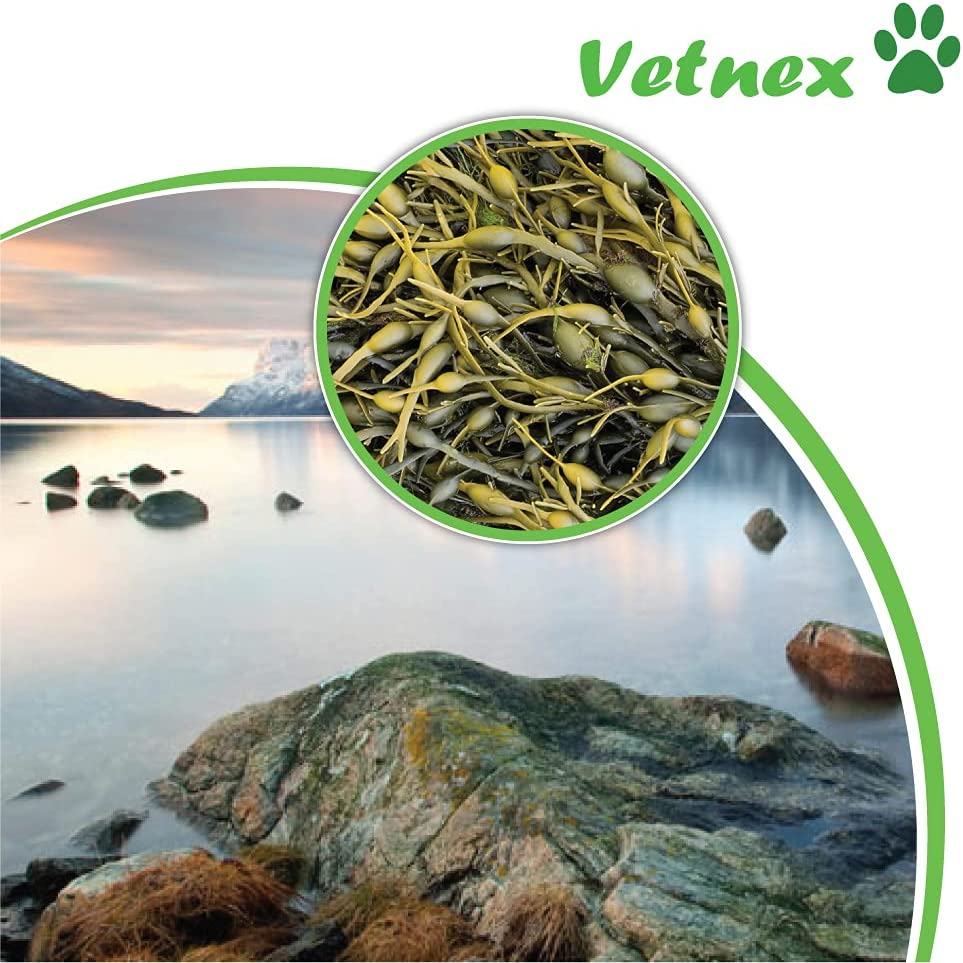 Vetnex Plaque Control Dental Powder (Kangaroo) for Dogs & Cats 100G image number 3