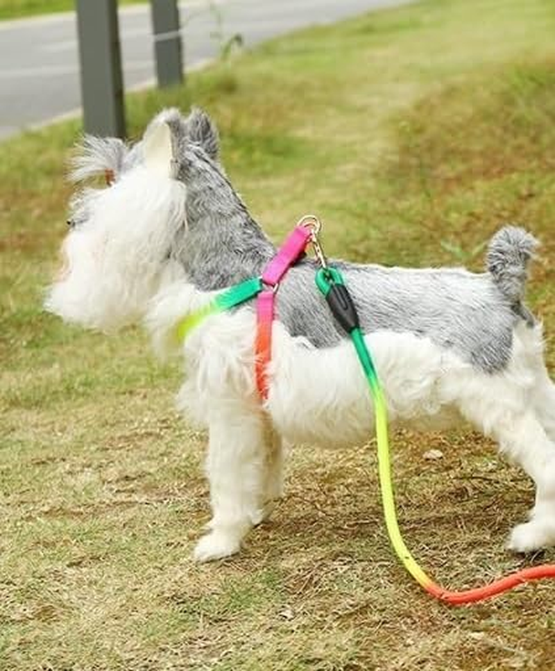 1 Pieces Adjustable Pig Harness with Leash Set Pet Supplies Harness with Leash Set for for Hog Piggy Rabbit Dog Small Animals Walking Jogging (Seven Colors, S) image number 3