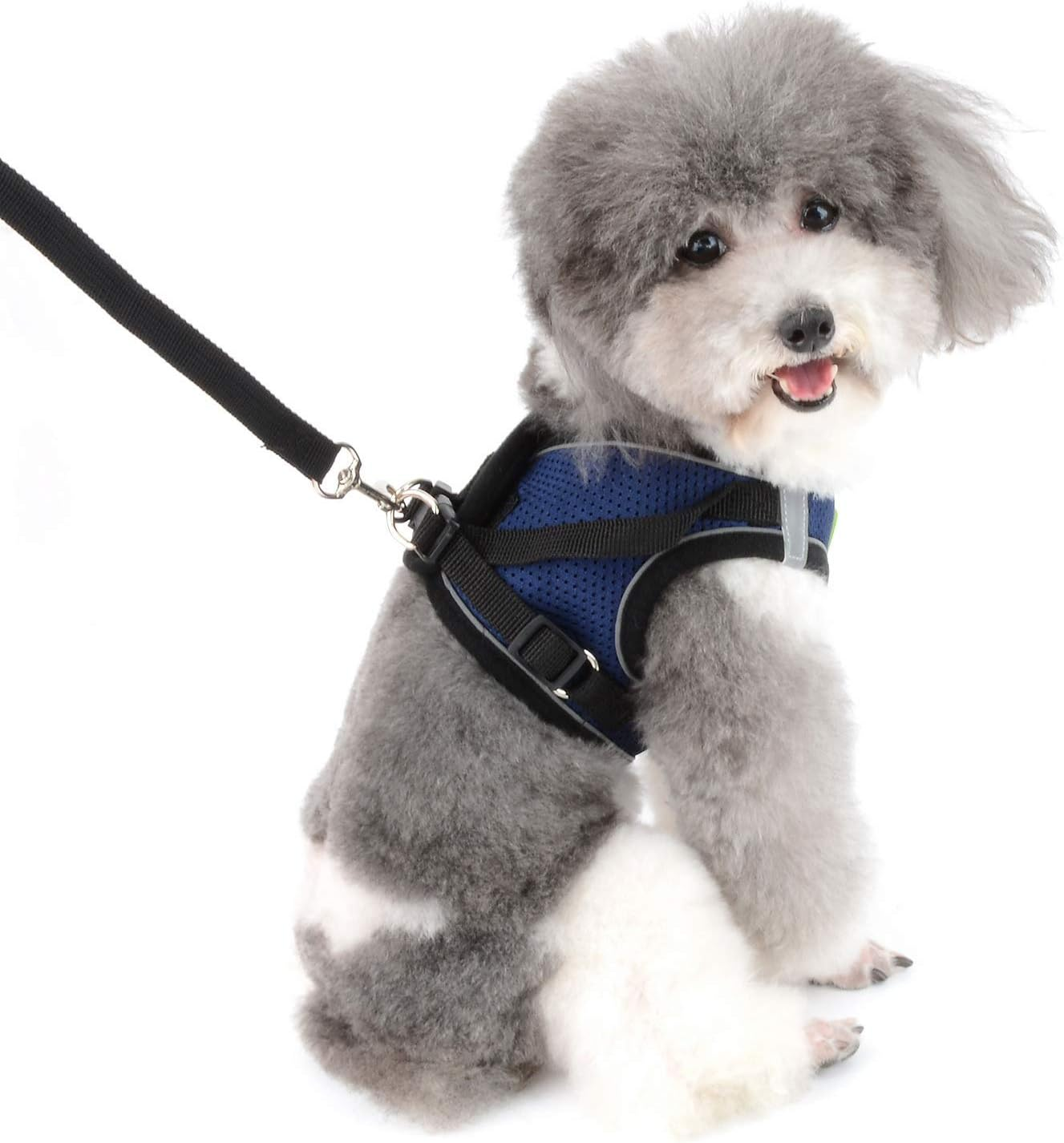 ZUNEA Small Dog Harness and Lead Set No Pull Puppy Vest Harnesses Adjustable Reflective Soft Mesh Step-In Pet Cat Harness Escape Proof for Walking, Bright Colors for Dogs Girl Boy Darkblue XL image number 3