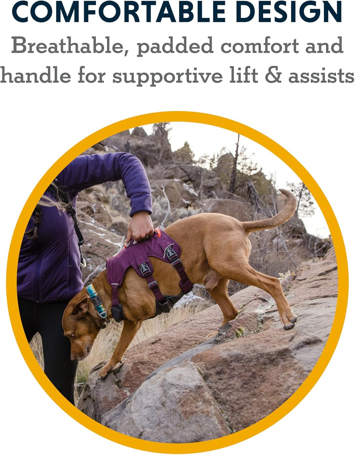 RUFFWEAR Multipurpose Dog Harness with Handle, Web Master Adjustable Harness, 2 Leash Attachments, Everyday Use, Blaze Orange, XXS image number 3