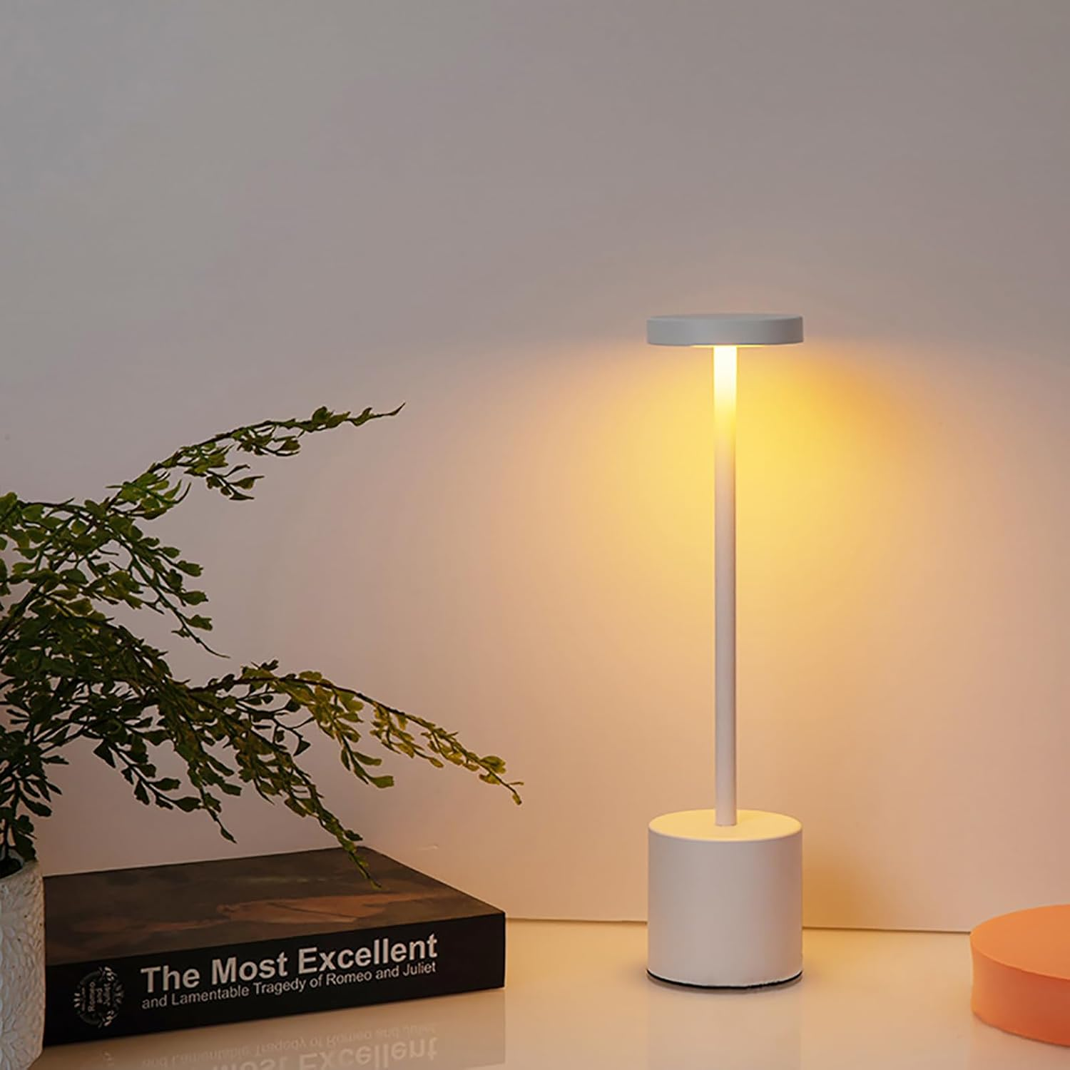 Shenzhi Tech LED Table Lamp, USB Rechargeable, Touch Control, 3-Colour Dimmable Night Light (Black)