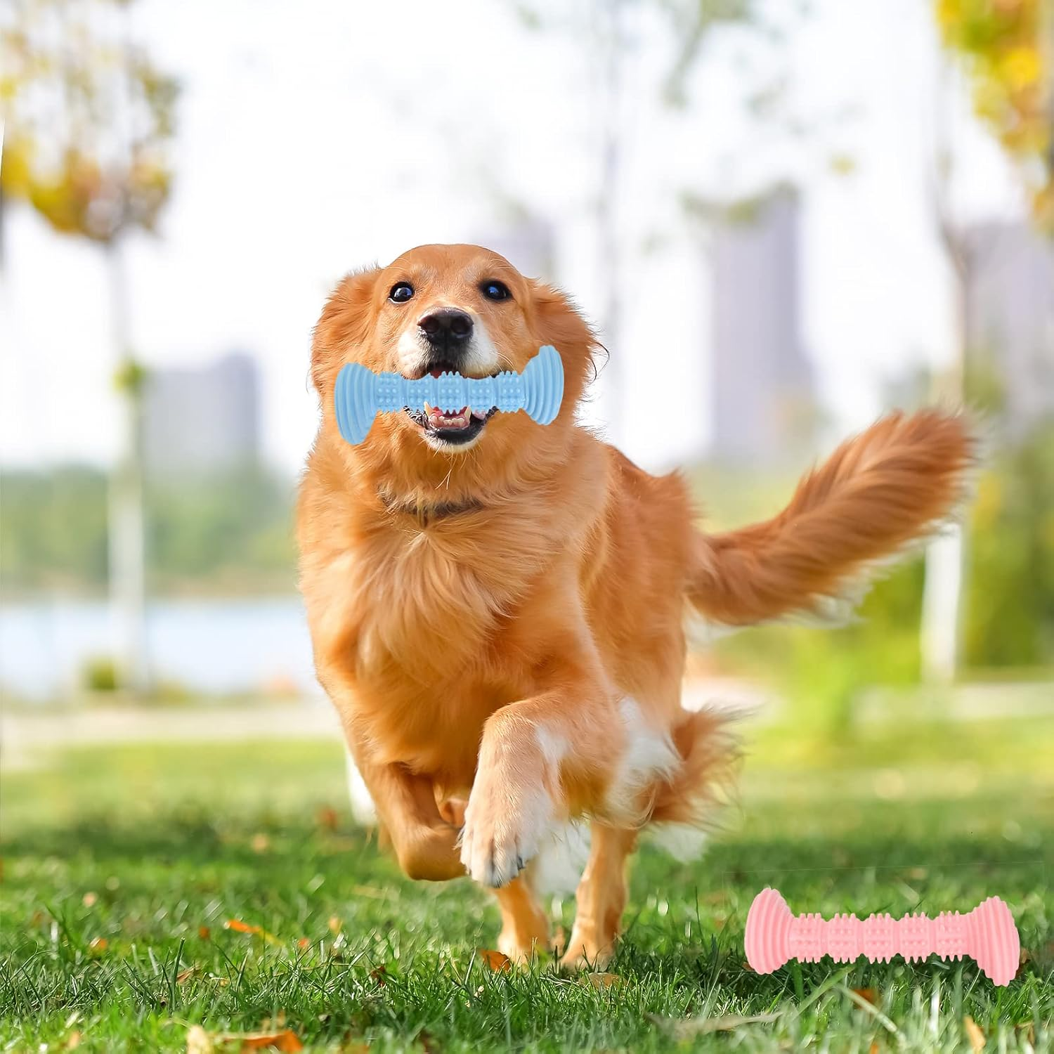 Pack of 2 Dog Chew Toy, 13 Cm Hard Rubber Chew Toy with Convex Design for Small and Medium Dogs, Teeth Cleaning and Gums, Dog Toothbrush, Dog Accessories for Dogs (Blue + Pink) image number 4