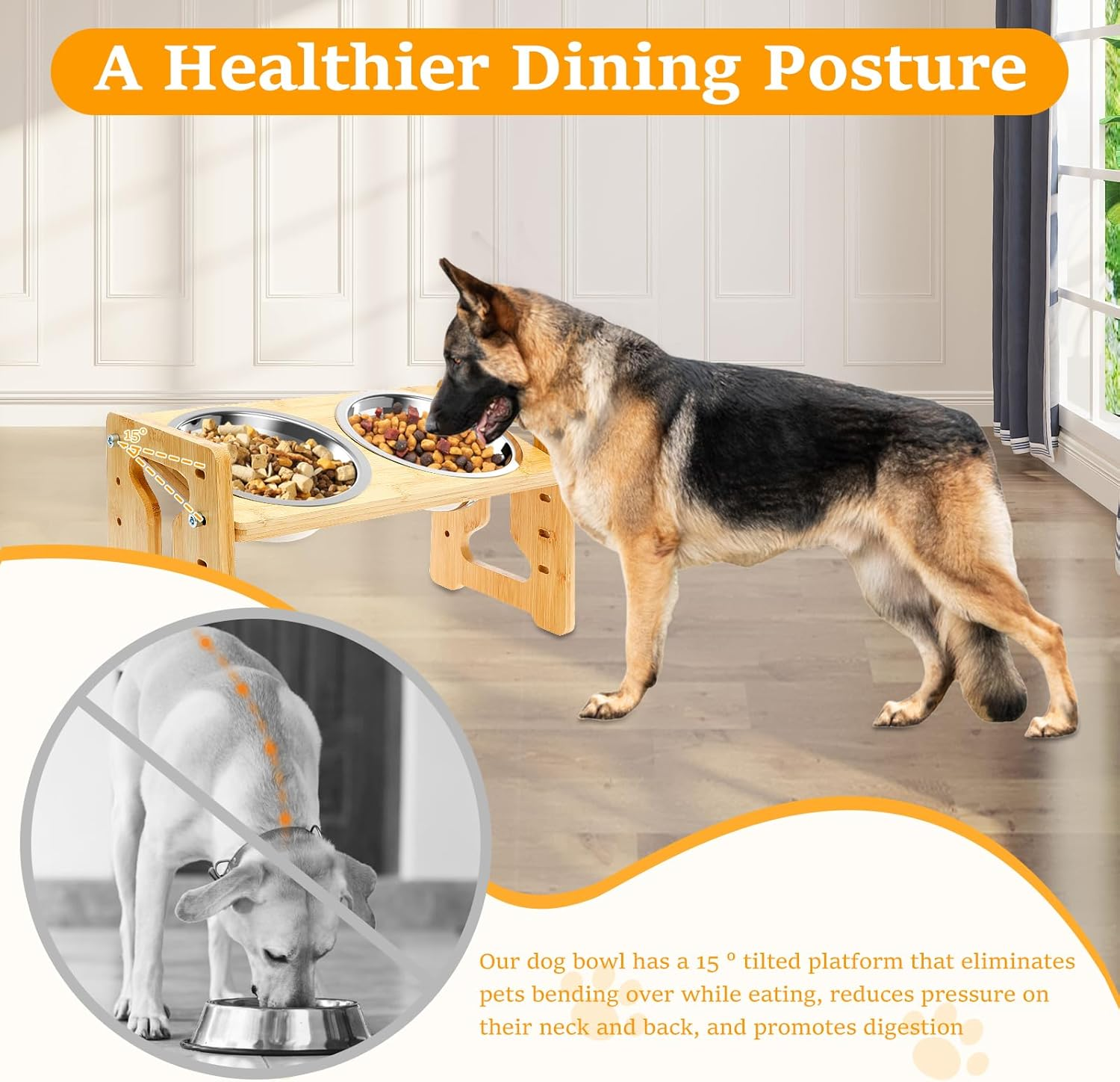 Elevated Dog Bowls, 5 Adjustable Heights Raised Dog Bowl Stand, Ranging from 2 Inches to 7.7 Inches, with 2 Stainless Steel Bowls and anti Slip Feet, for Small Medium Large Pets Dogs Cats image number 3