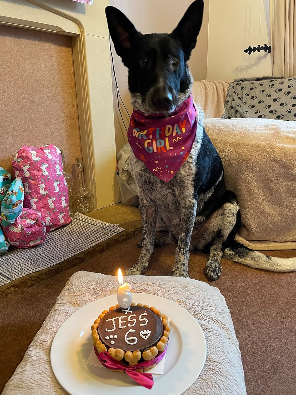 Dog Birthday Bandanas, Dog Birthday Party Supplies, Triangle Reversible Pet Scarf with Cute Biting Bone Scarf Accessory for Boy and Girl, Premium Durable Fabric image number 4