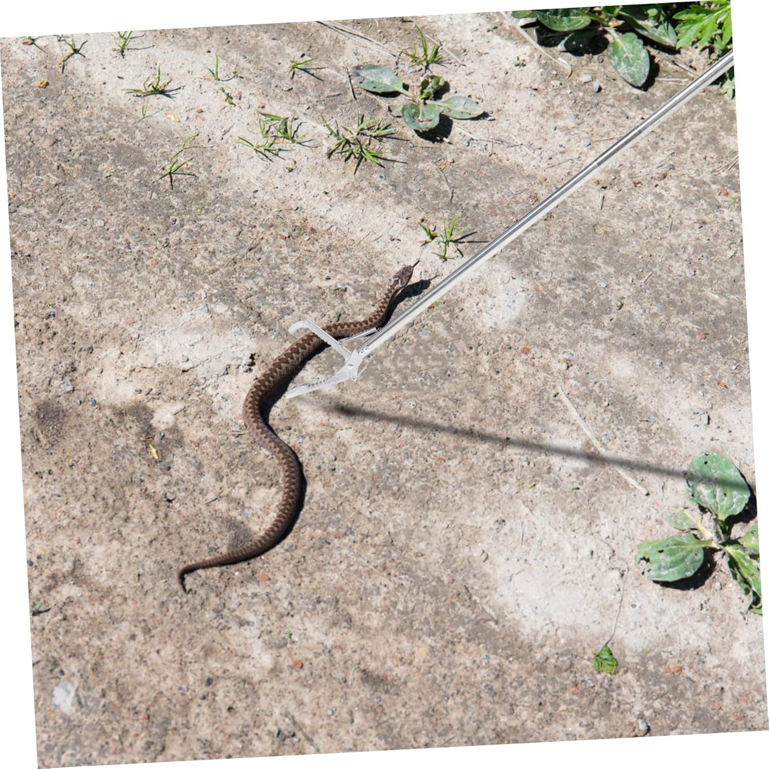 COSMEVIVI Durable Stainless Steel Snake Catcher Tongs Foldable Snake Grabber Tool with Lock for Garden and Zoo Use Non Slip Grip Snake Sticks image number 1