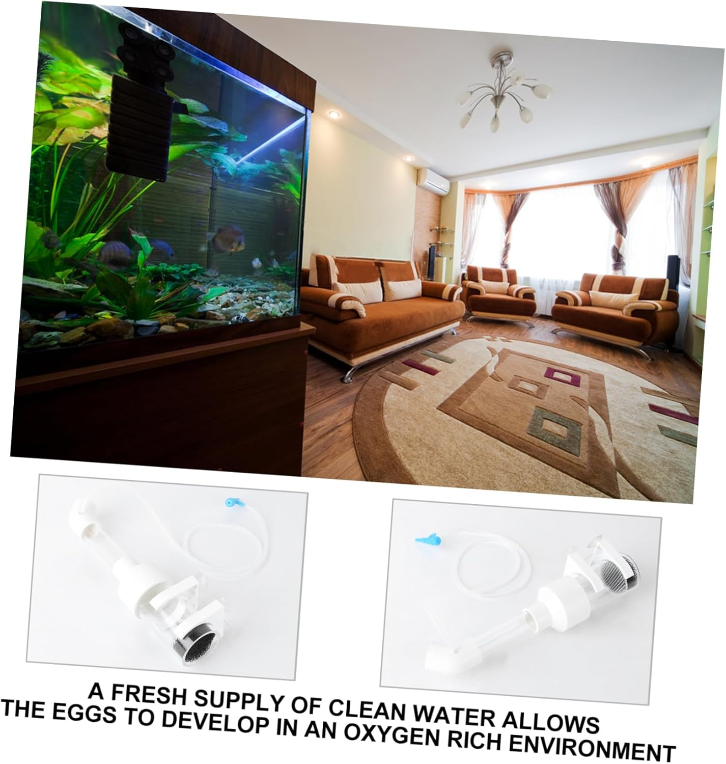 HAPINARY 2Pcs 50Mm Fish Hatchery Incubator Egg Tumbler Mouth-Brooding Fish Breeding Tank Aquarium Breeder Box for Cichlid Fry in Aquatic Pets Random Color image number 5