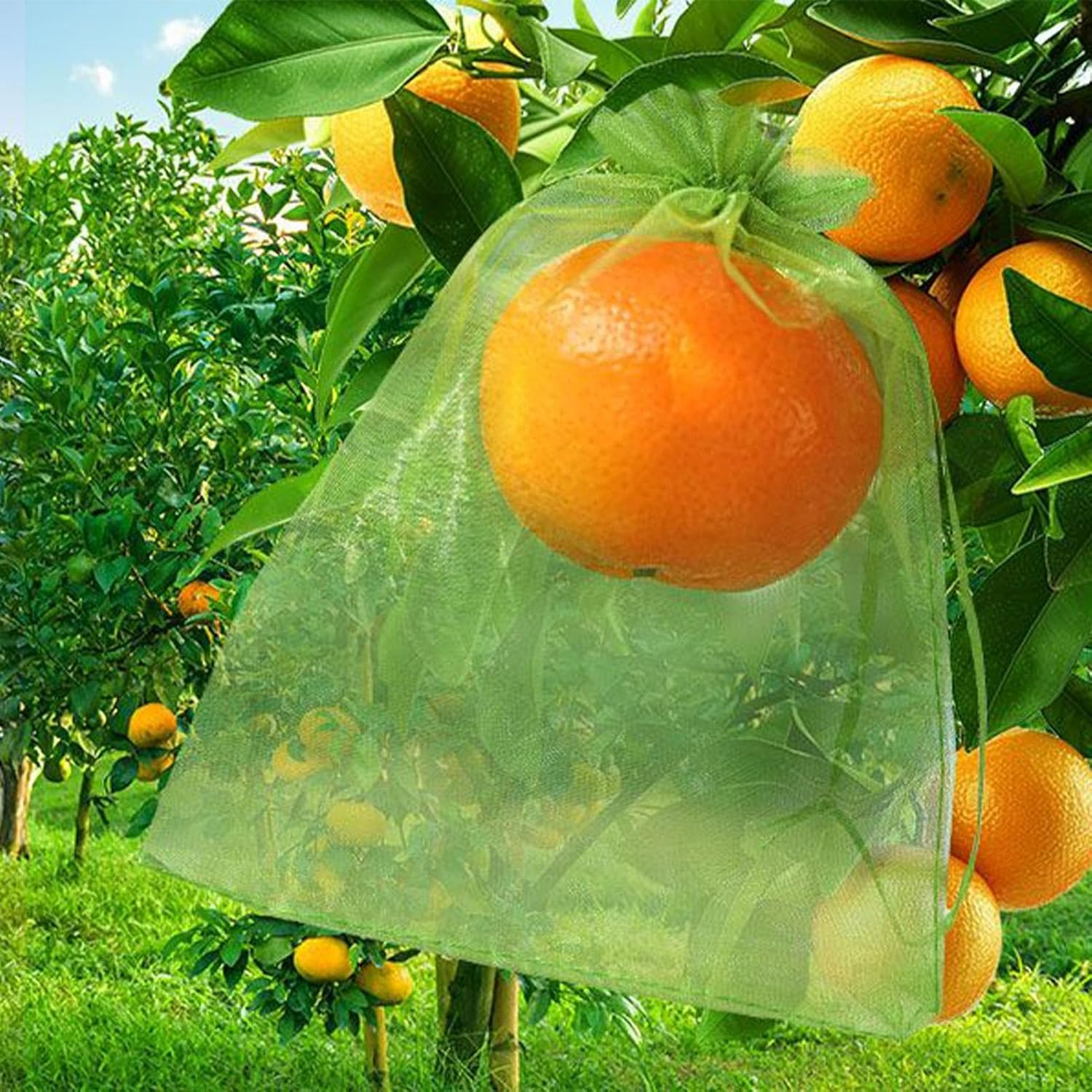 Fruit Protection Bags - Drawstring Net Bag - Garden Supplies for Food Outdoors Growing Planting Gathering Horticulture Strawberry Produce image number 6