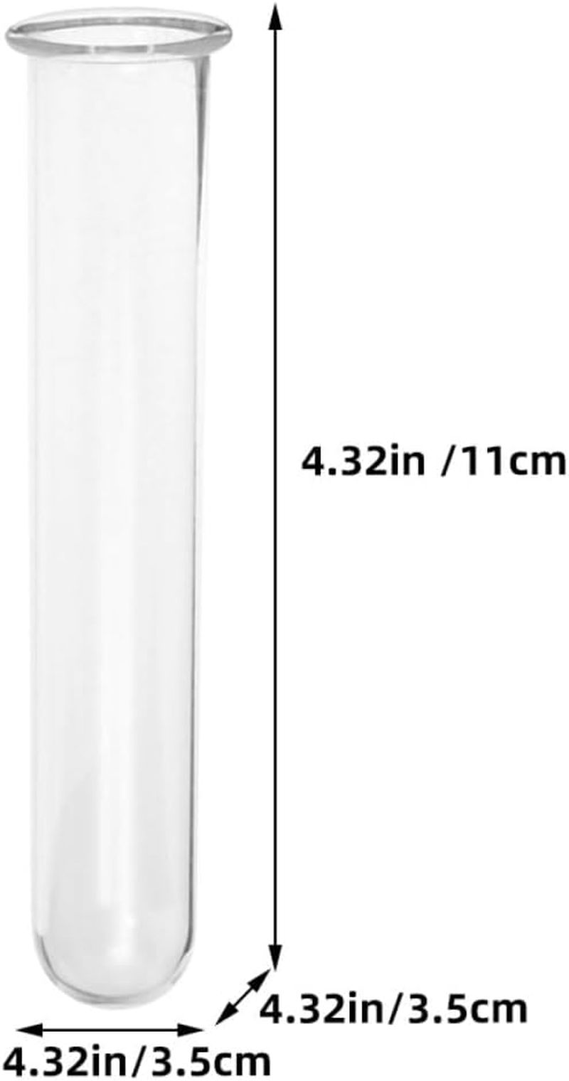 NULYLU 4Pcs Glass Hydroponic Plant Tubes Vase Set, Small Test Tube Planters with round and Flat Bottoms, Suitable for Home and Office Terrarium Gardening