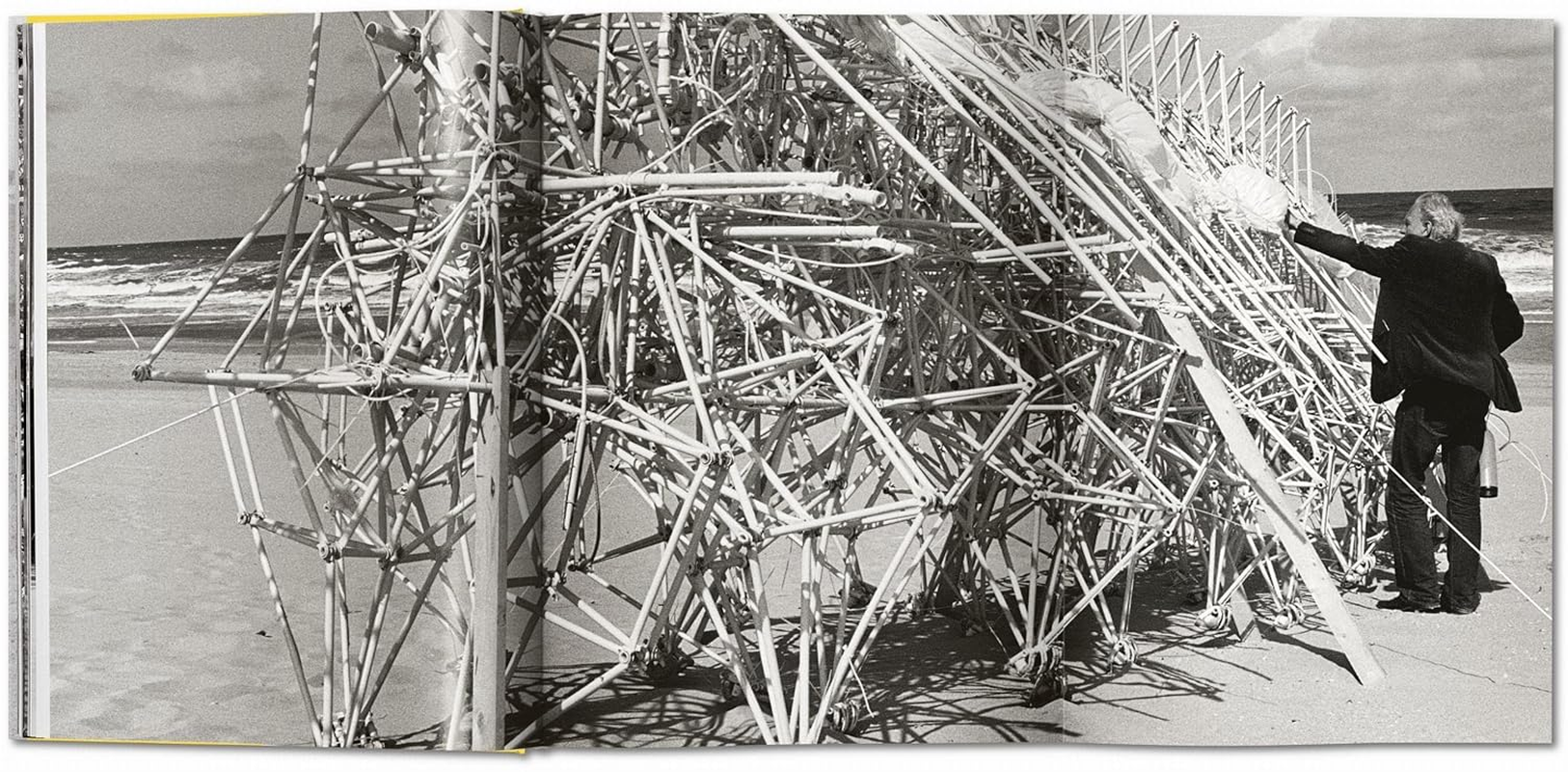 Lena Herzog. Strandbeest. the Dream Machines of Theo Jansen image number 3