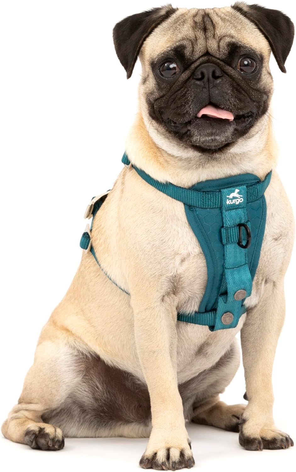 Kurgo Enhanced Strength Tru-Fit Smart Dog Harness, Ink Blue, Small - Crash Tested Car Safety Harness for Dogs, No Pull Dog Harness, Includes Pet Safety Seat Belt Tether, Steel Nesting Buckles